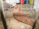 DSC01797