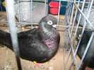 DSC01799