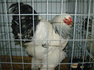 DSC01801