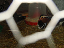 DSC01804