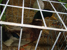 DSC01805