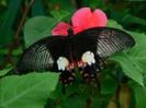 images (19)