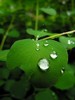162936-picaturi-thompsonsea.com