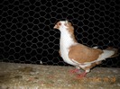 DSCN0134