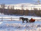 iarna_102_L