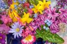 images (28)