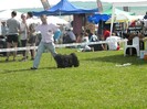 DSCN5317