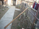 P1200519