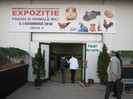 Galati -26-27 nov-2011