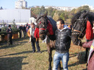DSCF5045
