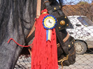 DSCF5074