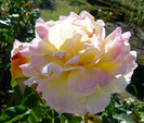 P1460573