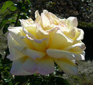 P1460574