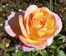 P1460576