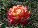 P1460579