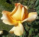 P1460580