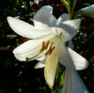 P1390855