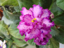 DSC03926