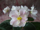 DSC03985