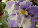 DSC03209