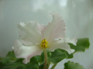 DSC03599