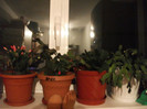 Picture 040