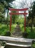 450px-Cluj-Napoca_botanical_garden_06_-_the_japanese_garden