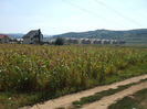 800px-DSCF1965