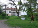 Scoala,_Jucu_de_Sus