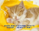 6e0eaa5e92283f0532185ad848e4cde2