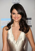 Selena+Gomez+2011+American+Music+Awards+Arrivals+AKVuva0e7Qdl