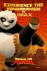 Kung_Fu_Panda_1235768369_2008[1]