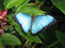 images (59)