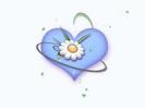 images (92)