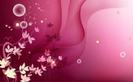 images (1)