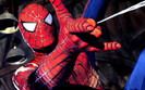 Spider-man-spider-man-web
