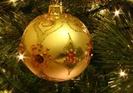 images (7)