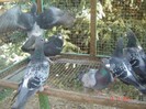 DSC00317