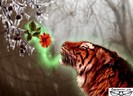 poze-fantastice-cu-animale-si-imagini-aparte-cu-natura-www.faraaer.ro-12_wm