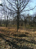 toamna la ocea nov 2011 001