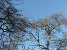 toamna la ocea nov 2011 018