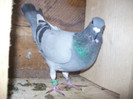 100_3551 - Copy