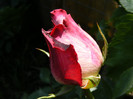 Osiria