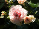 Mariatherezia