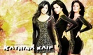 katrinaw