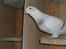 DSCN1186