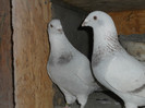 DSCN1226
