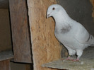 DSCN1227 M 2011
