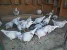 DSCN1241