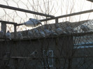 DSCN1252